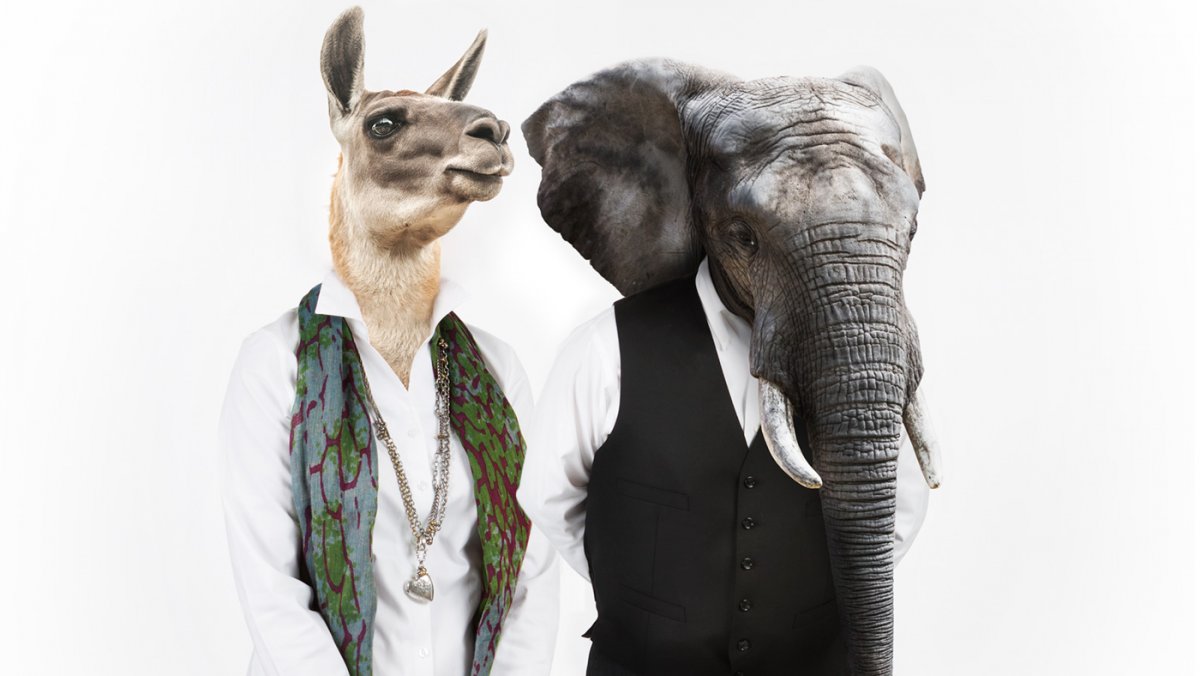 Креативная реклама животных