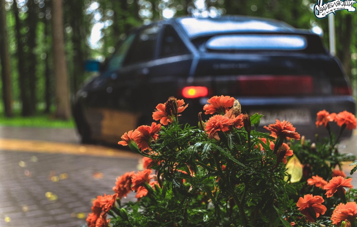 Оперские машины с цветами