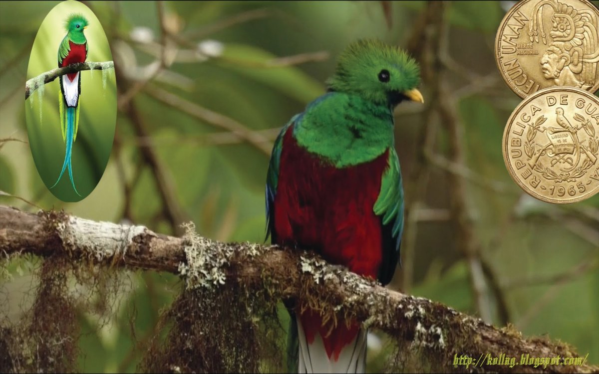 Скарабей в древнем Египте