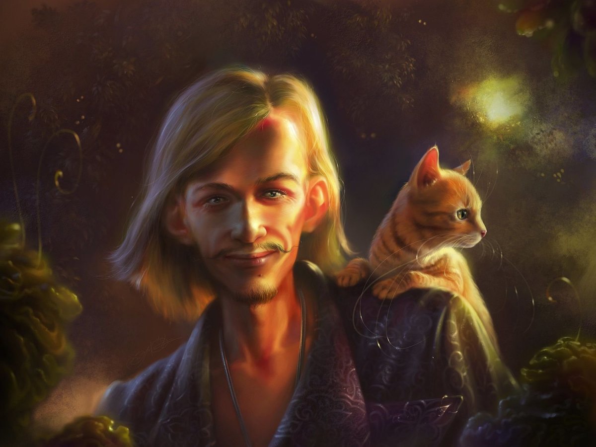 Кошка сфинкс Двэльф