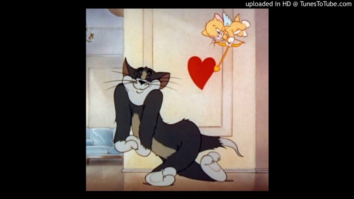 Том и Джерри фото