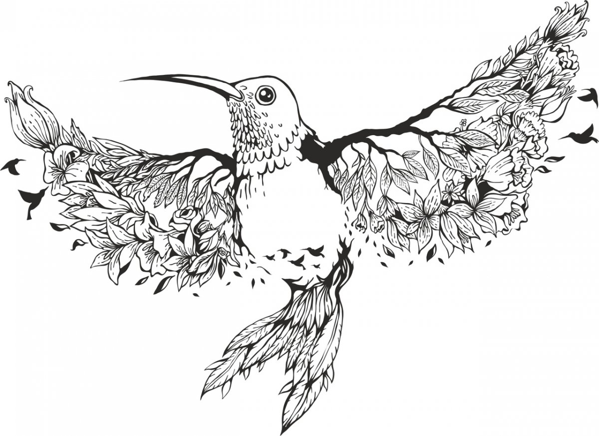 Птица черно белая