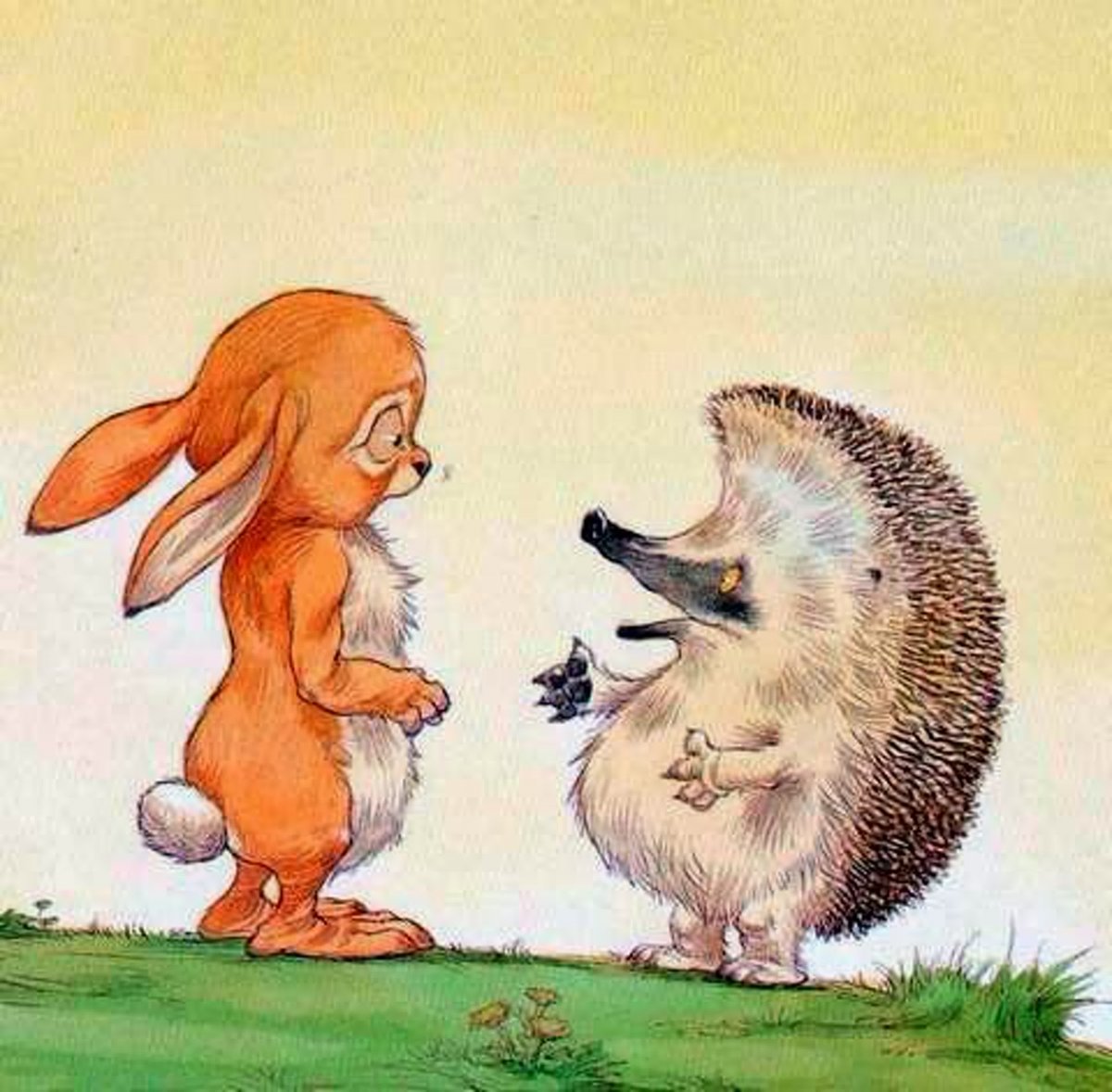 Ежик и заяц