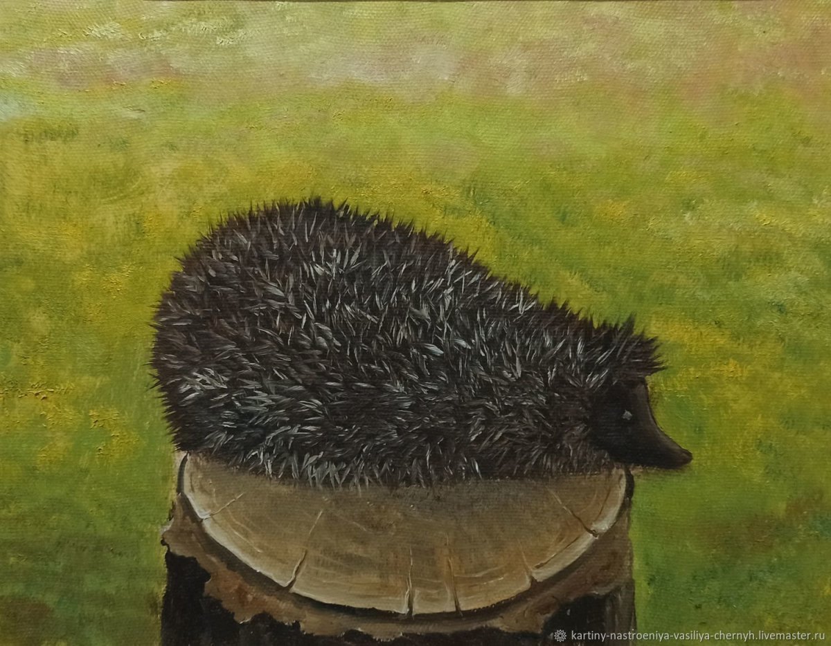 Екатерина Бородачева художник иллюстратор