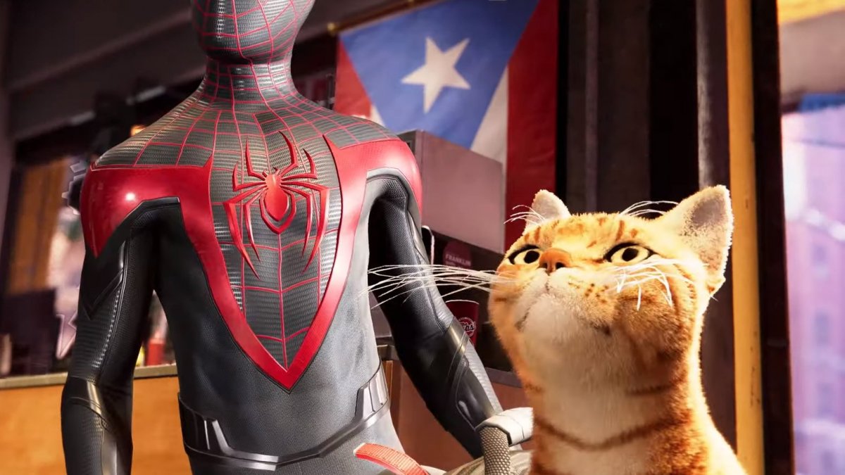 Особенный котик