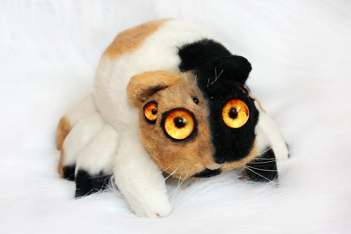 Котопаук Паукот