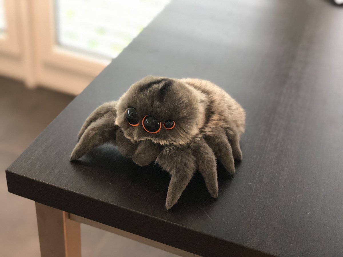 Паучок мультяшный