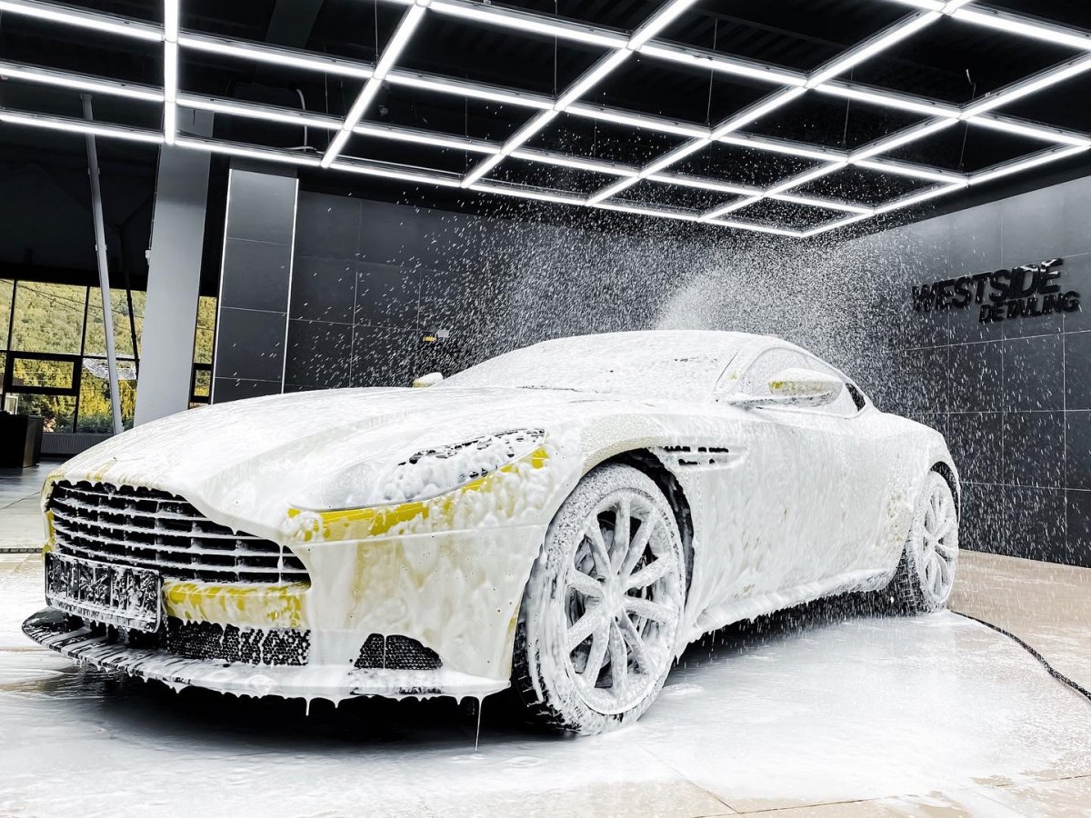 3 Х фазная мойка Koch