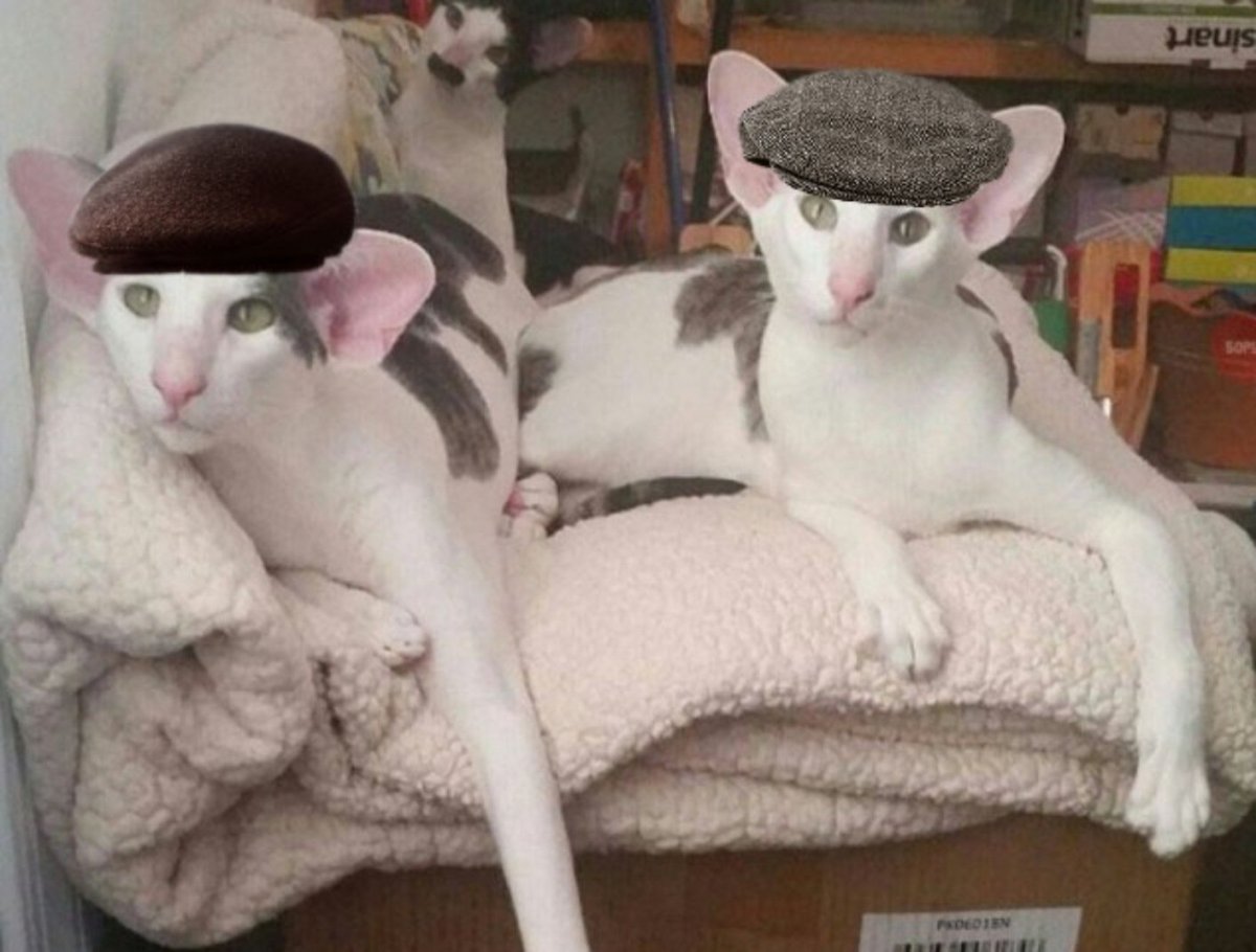 Сфинкс Тима Бертона