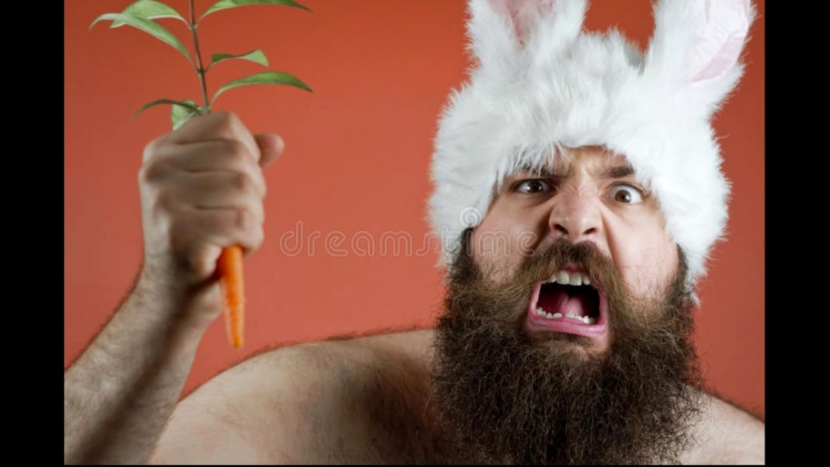 Злой заяц с бородой