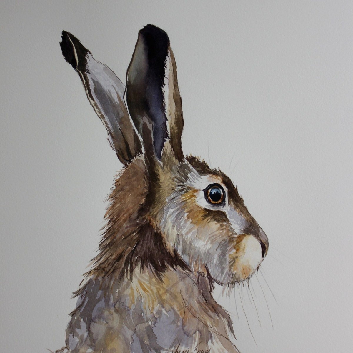 Карманный заяц