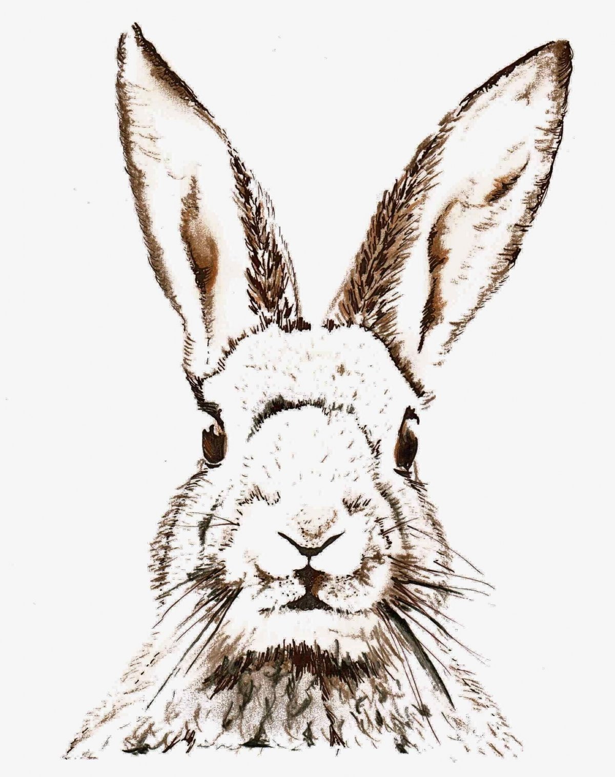 Заяц арт