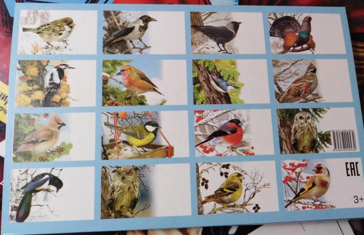 Зимующие птицы России