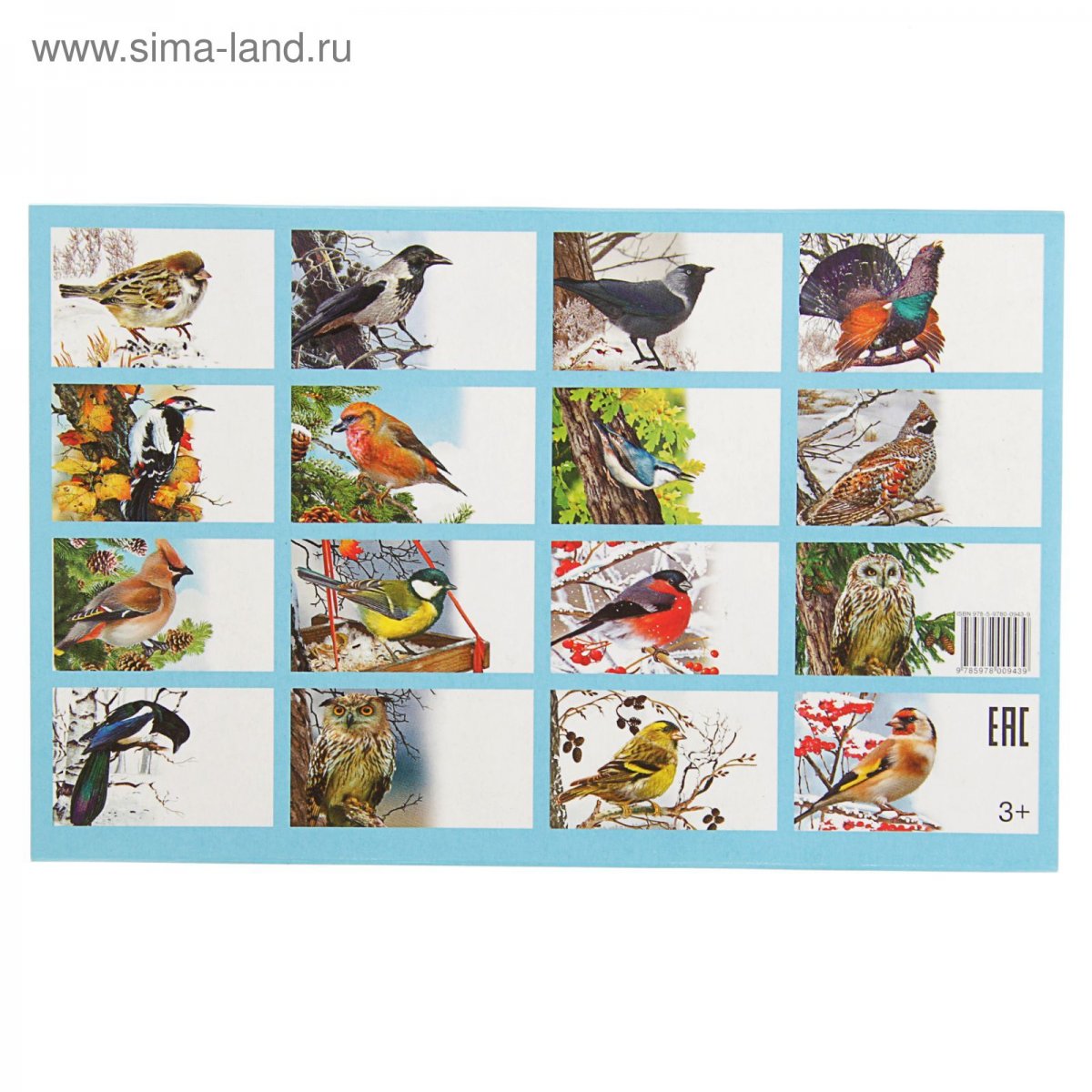 Обучающие карточки зимующие птицы России