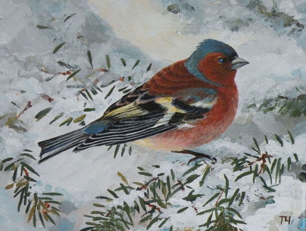 Зимующие птицы живопись