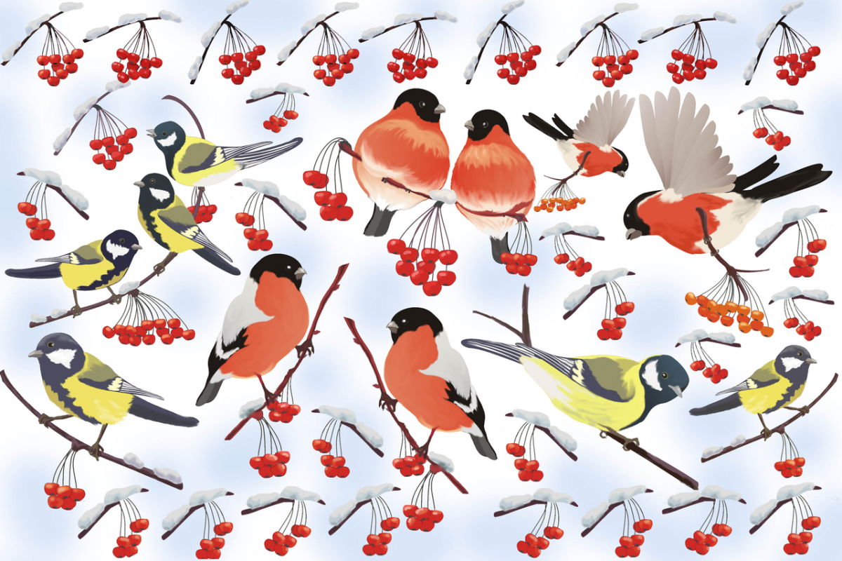 Зимние птицы для детей