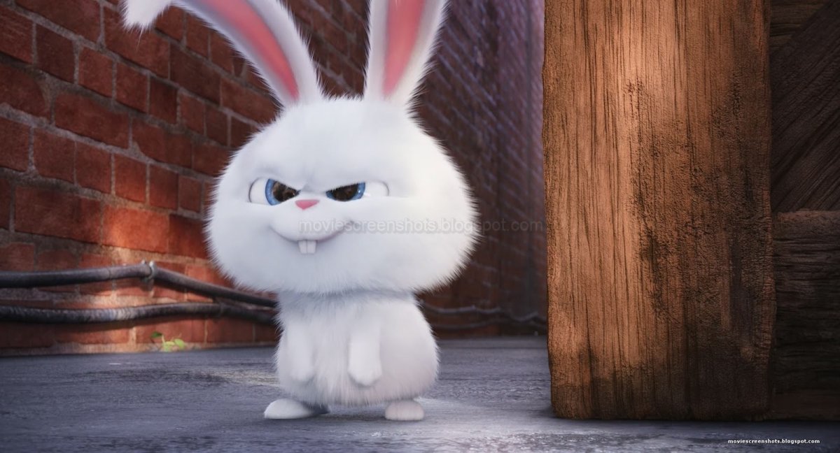 Тайная жизнь домашних животных заяц снежок