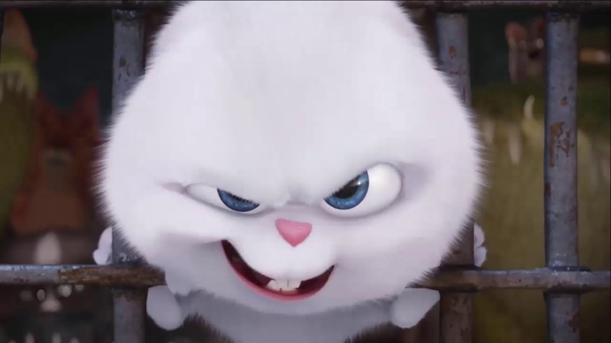 Тайная жизнь домашних кролик снежок