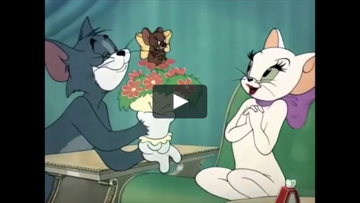 Том и Джерри том и кошка