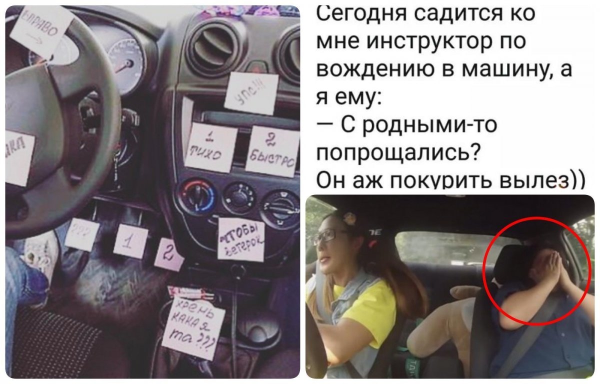 Автошкола приколы