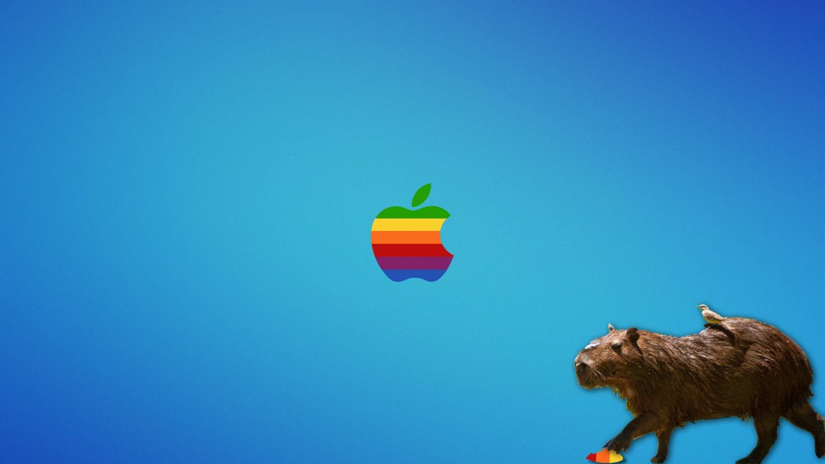 Капибара обои