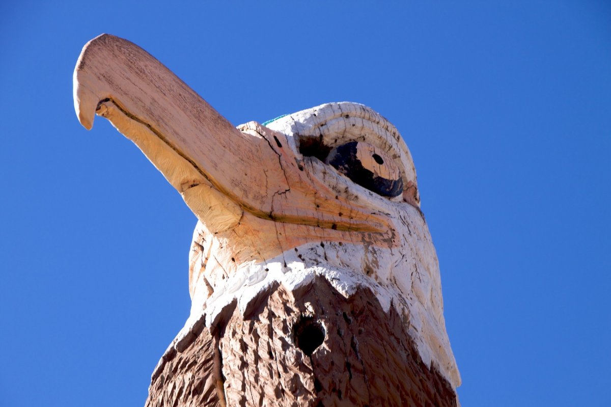 Истукан или Тукан