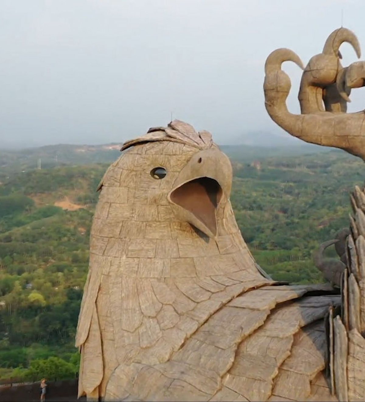 Попугай Тукан