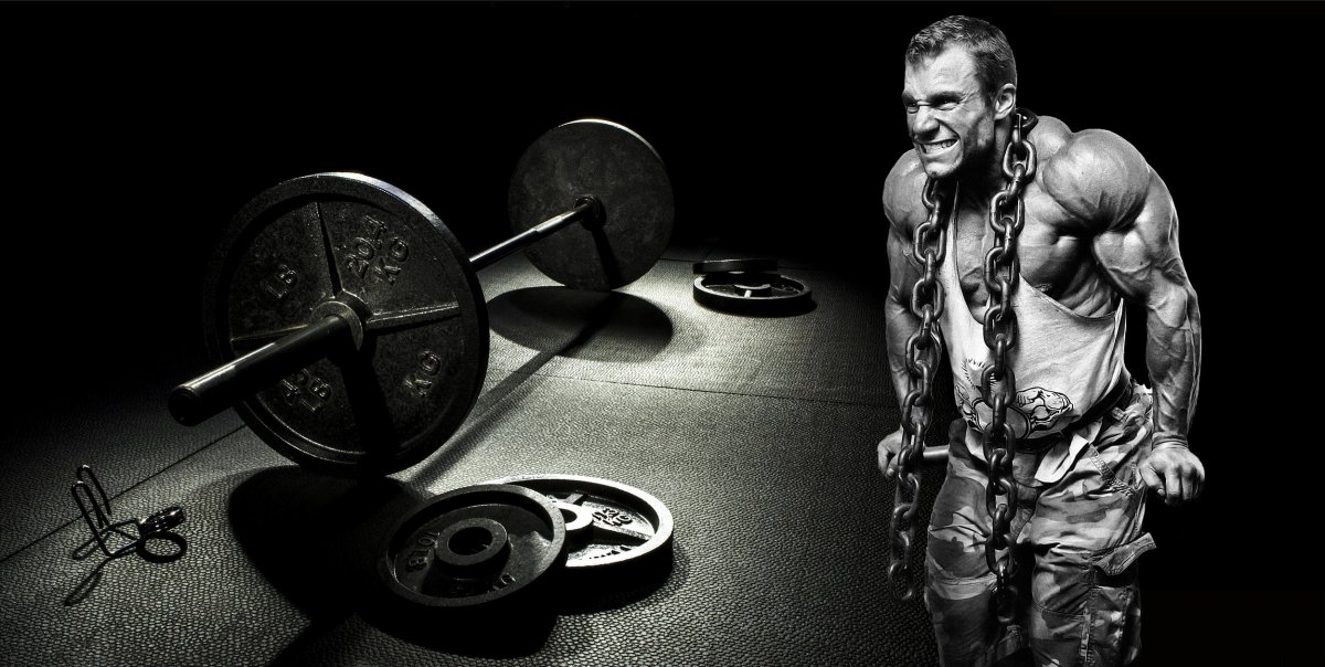 Аркадий Шалоха пауэрлифтинг