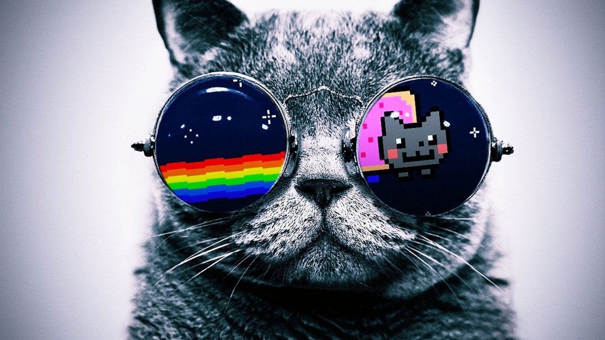 Котенок за компьютером