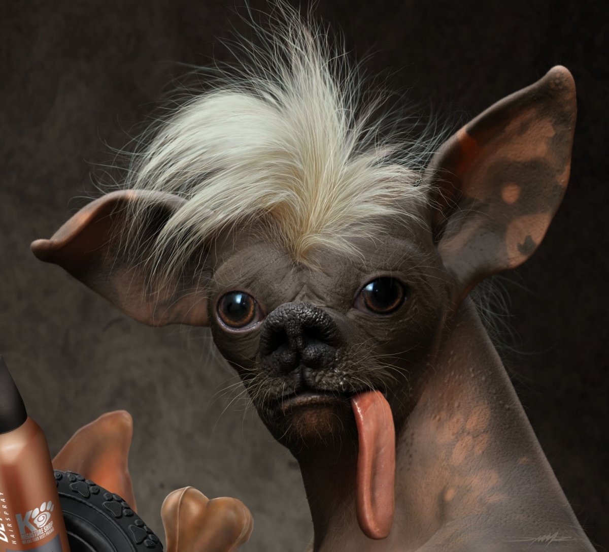 Китайская хохлатая с ирокезом