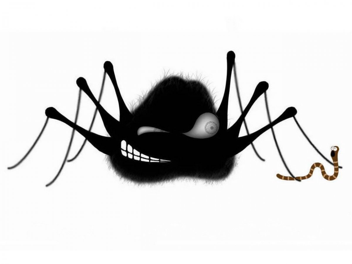 Татуировка паук эскиз