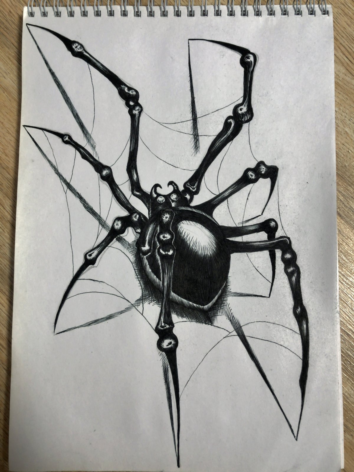 Паук рисунок ручкой