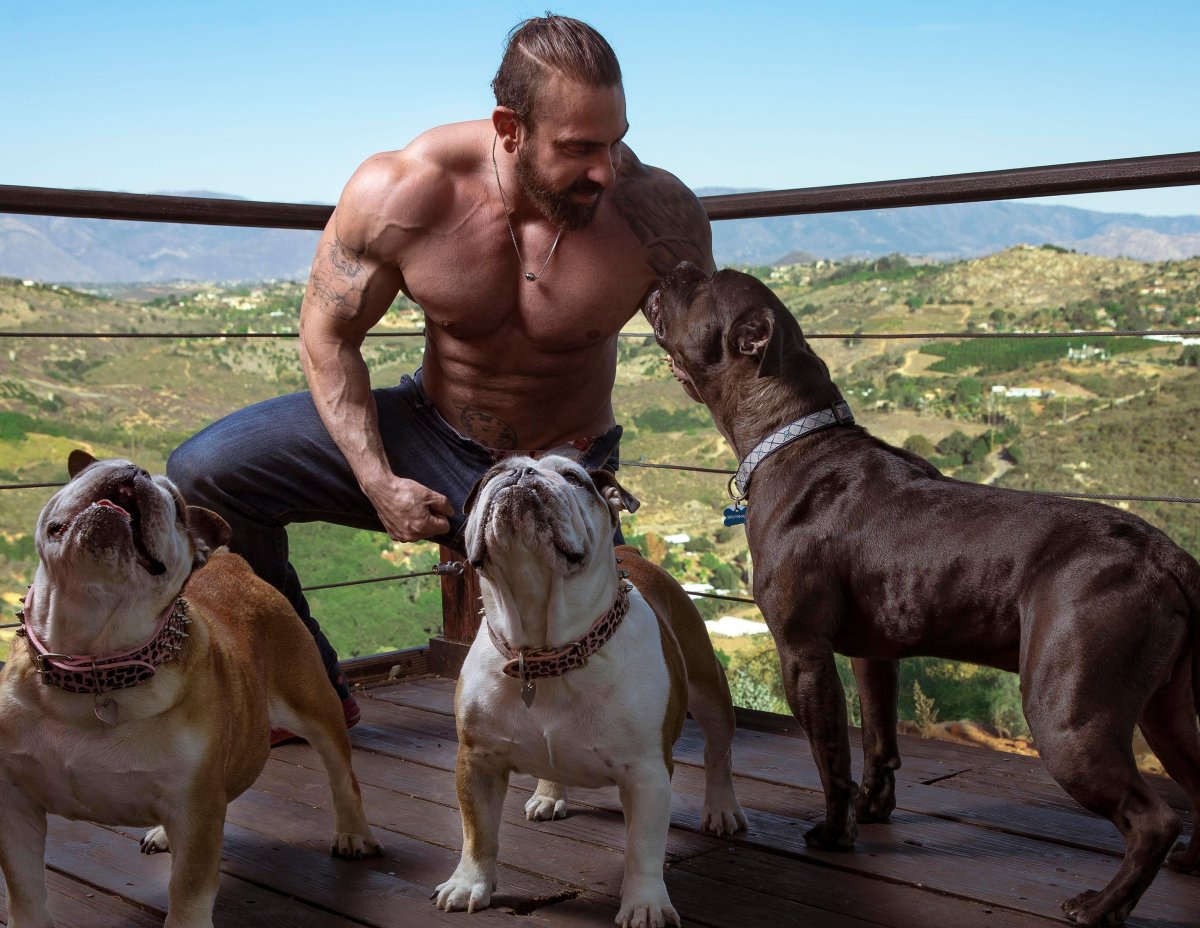 Французский бульдог Дуэйна Джонсона