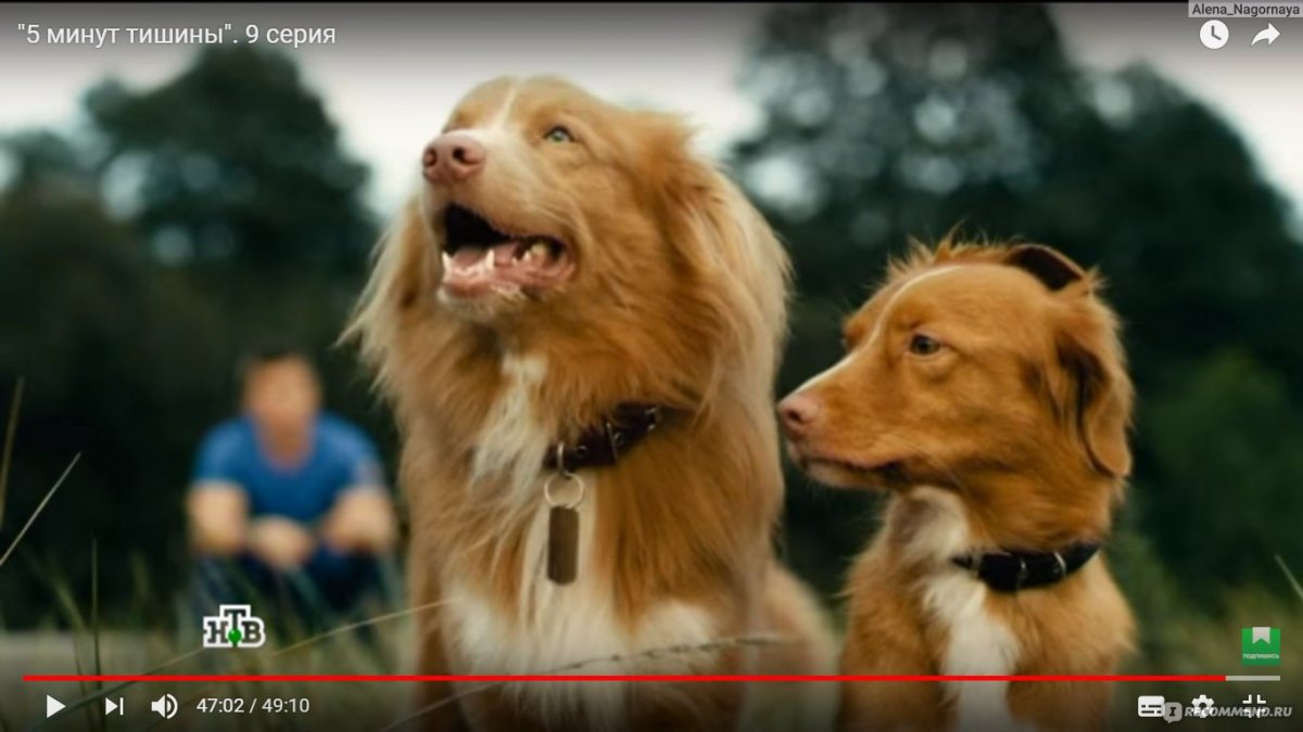 Как звали собаку из фильма пять минут тишины