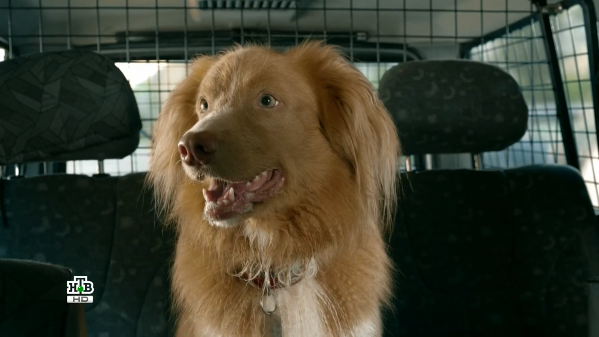 Андрей Балашов пять минут тишины