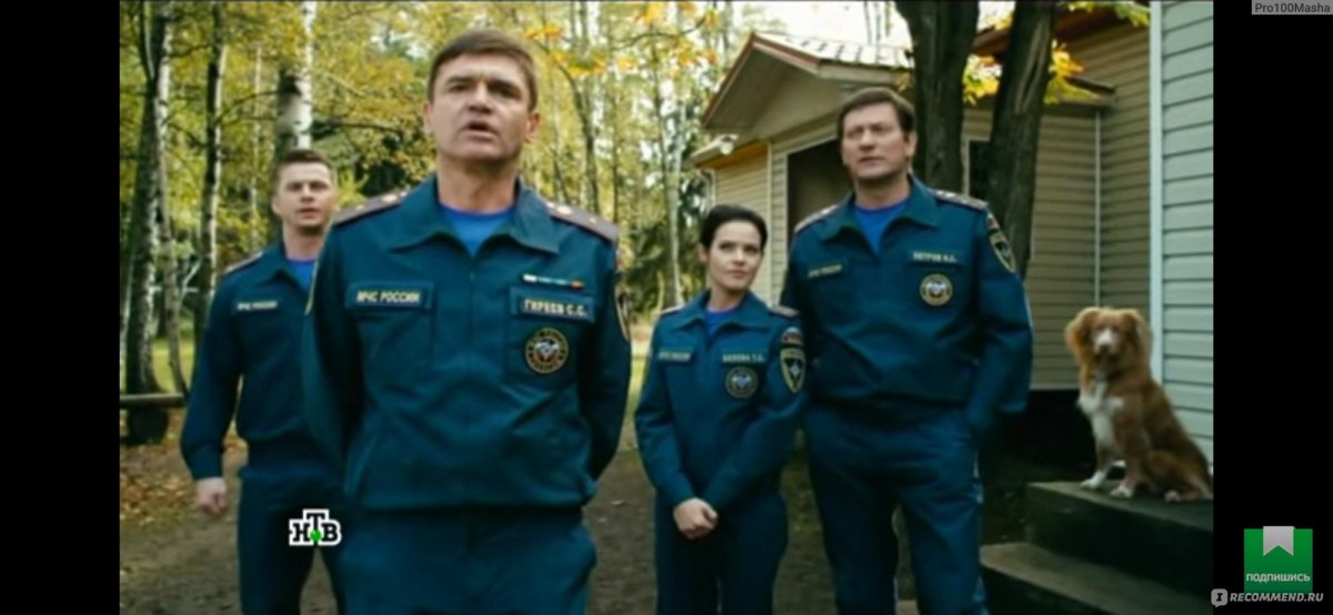 Новошотландский ретривер