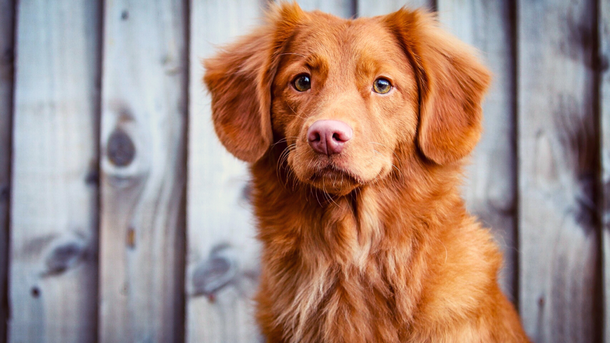 Роман Курцын 5 минут тишины