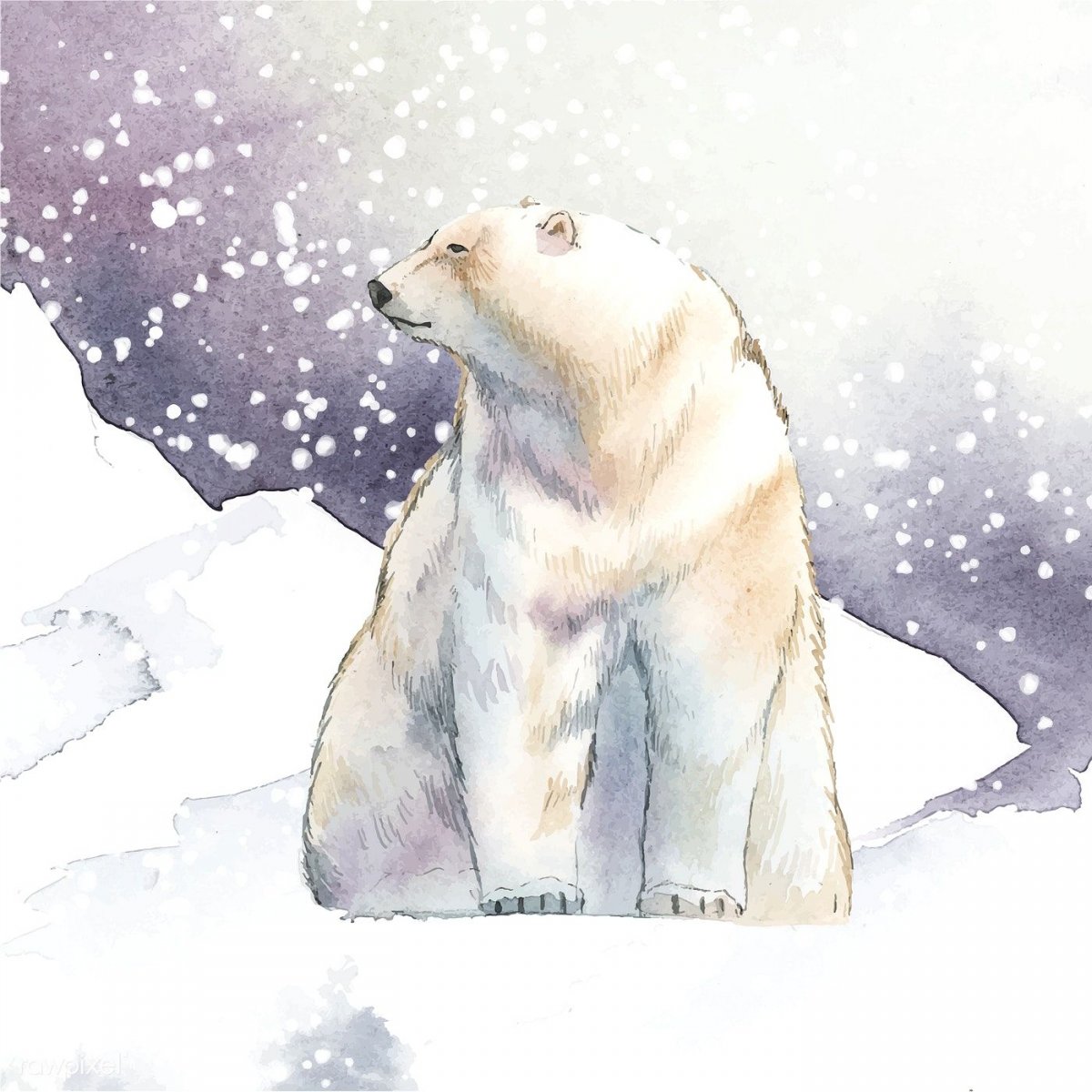 Северный полюс белые медведи