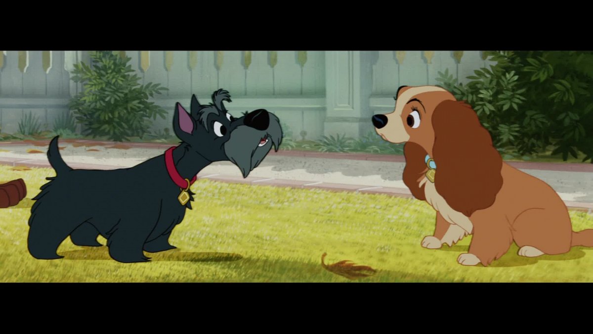 Друпи-сыщик мультфильм 1943