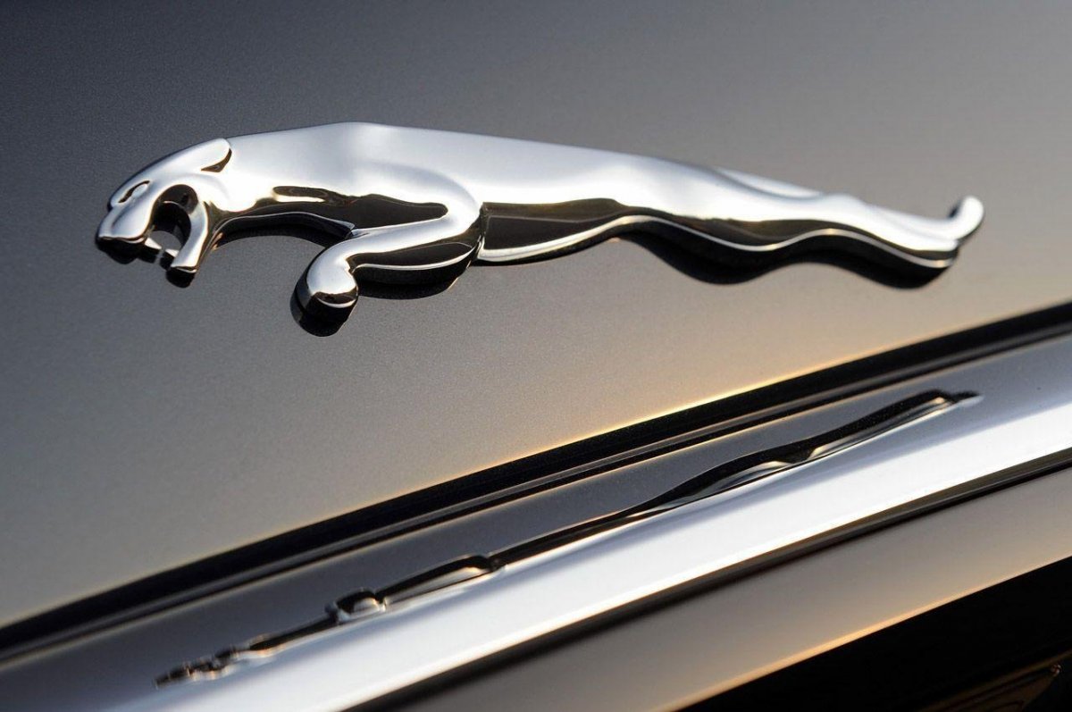 Шелкография на стекле автомобиля