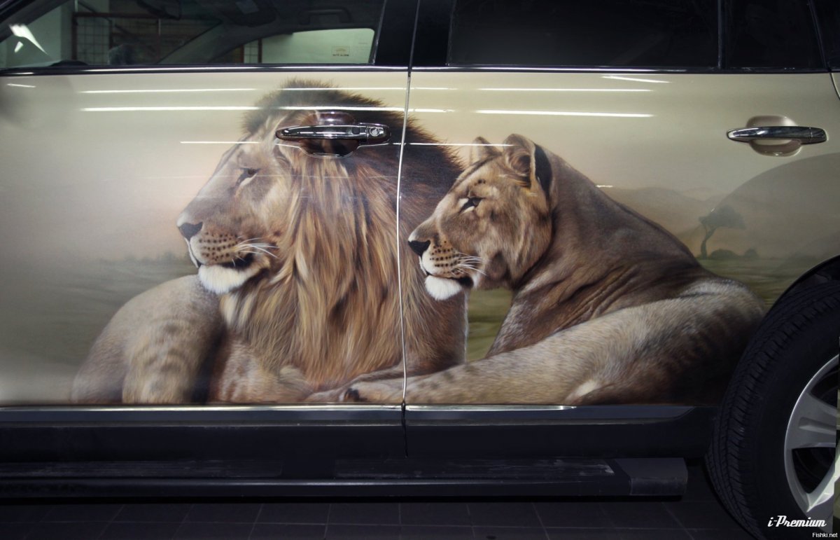 Пежо знак машины