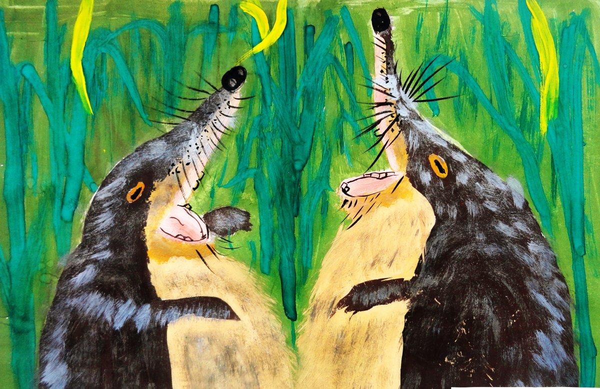 Выхухоль птица