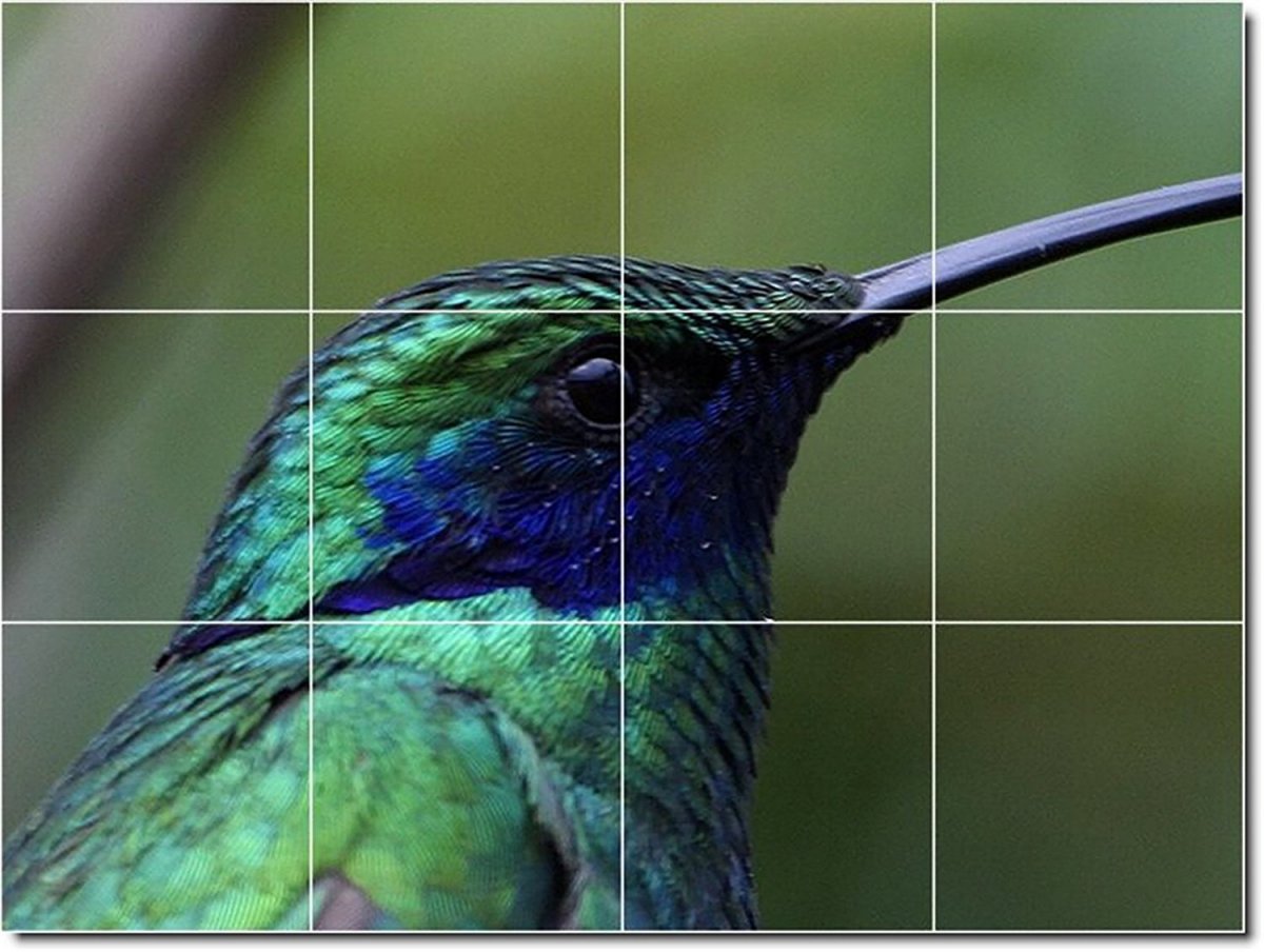 Птица с острым клювом