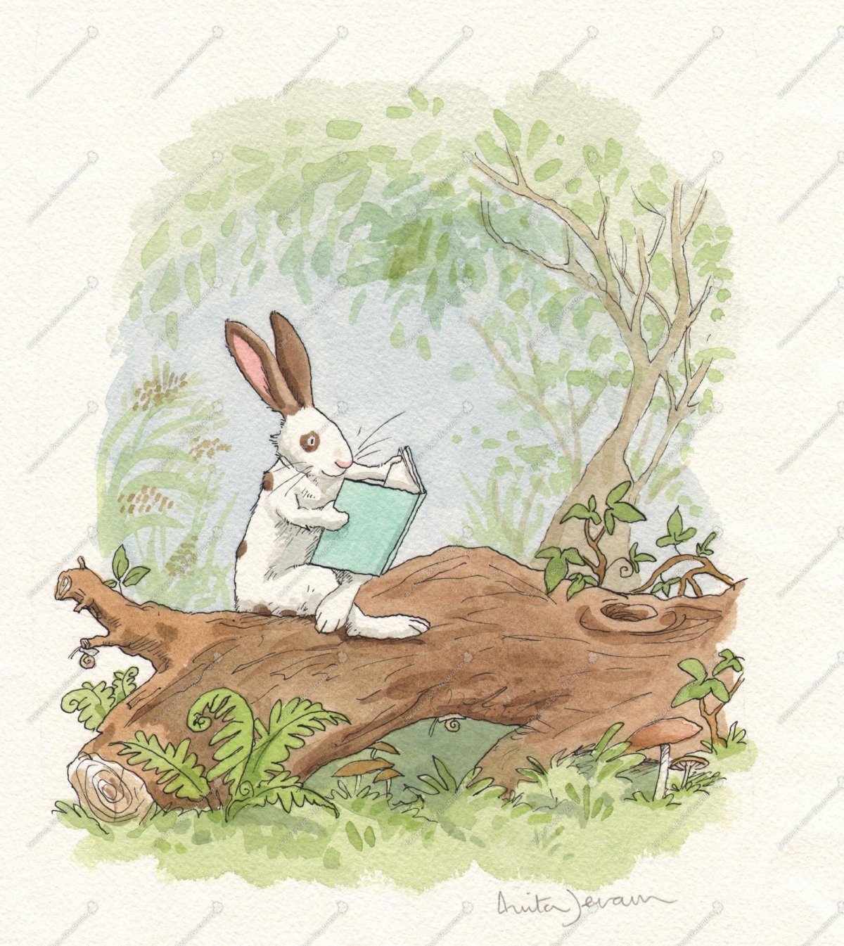 Иллюстратор Anita Jeram