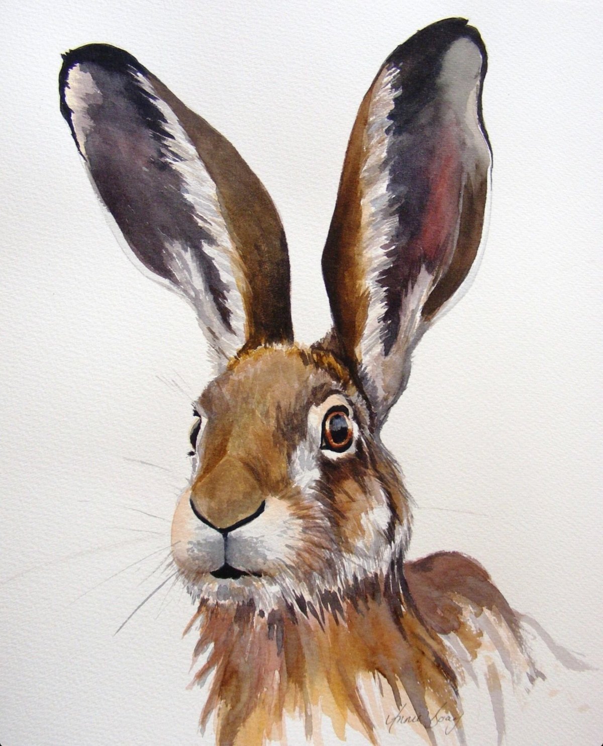Морда зайца акварель