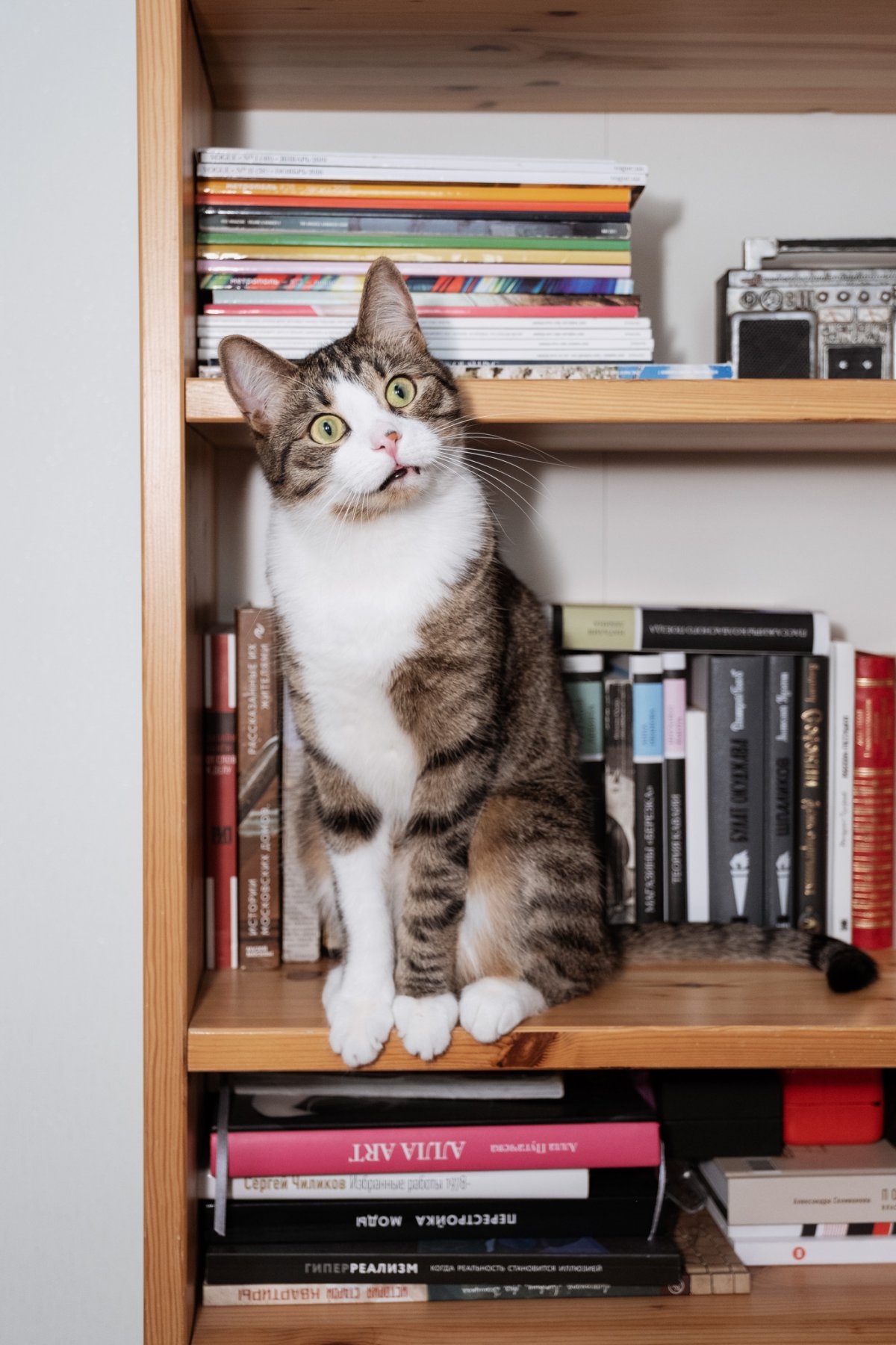 Пархунов Борис Викторович художник