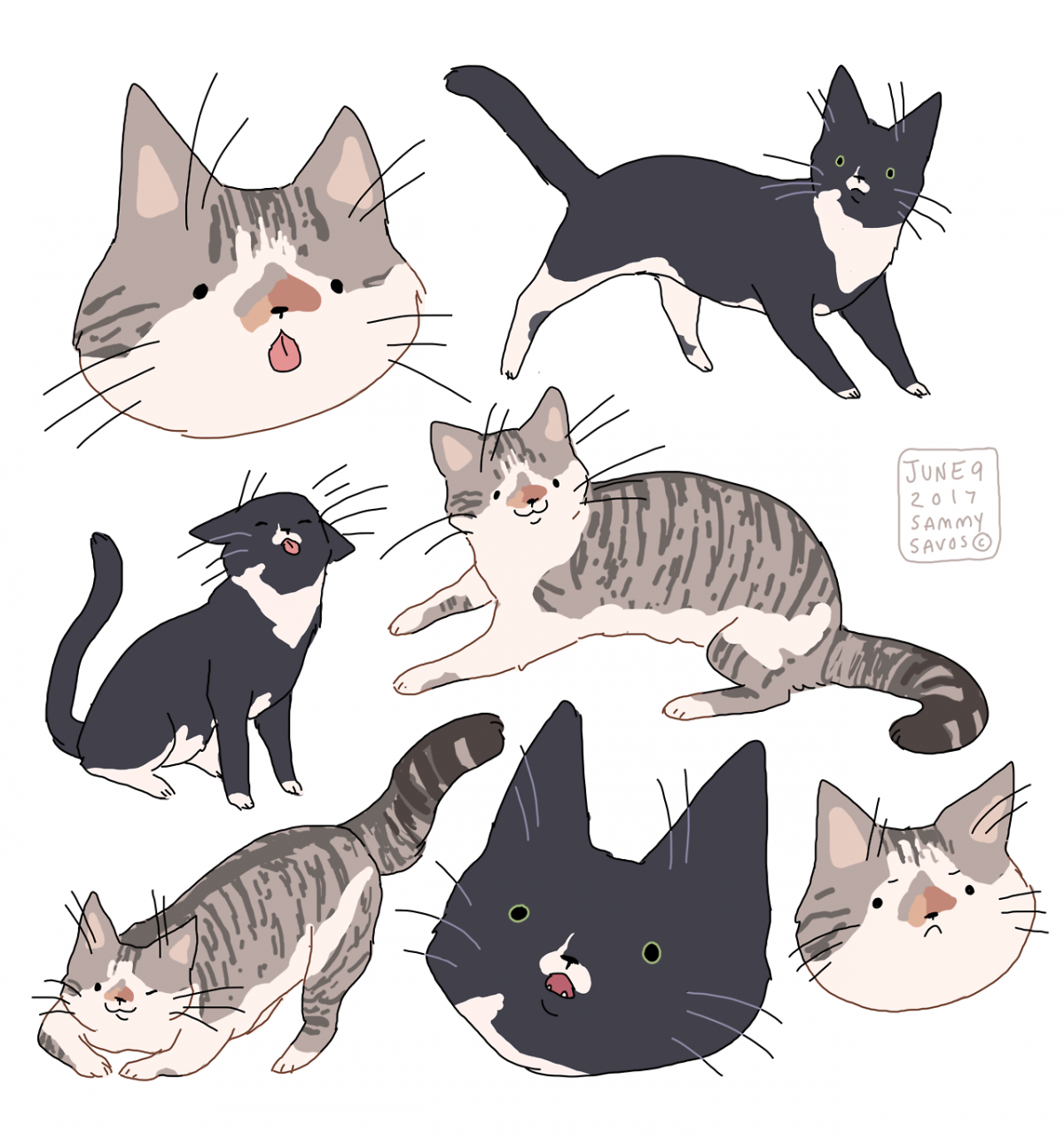 Уот с открытым ртоммем