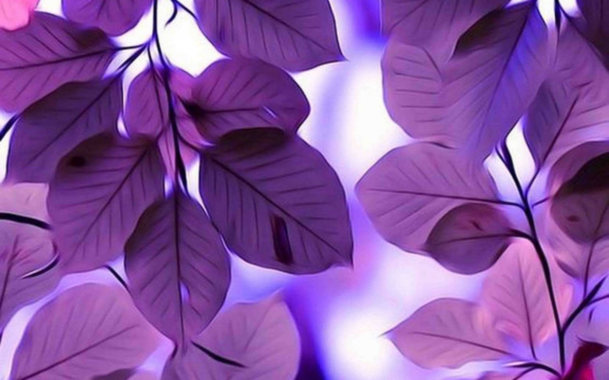 Цветы Эстетика