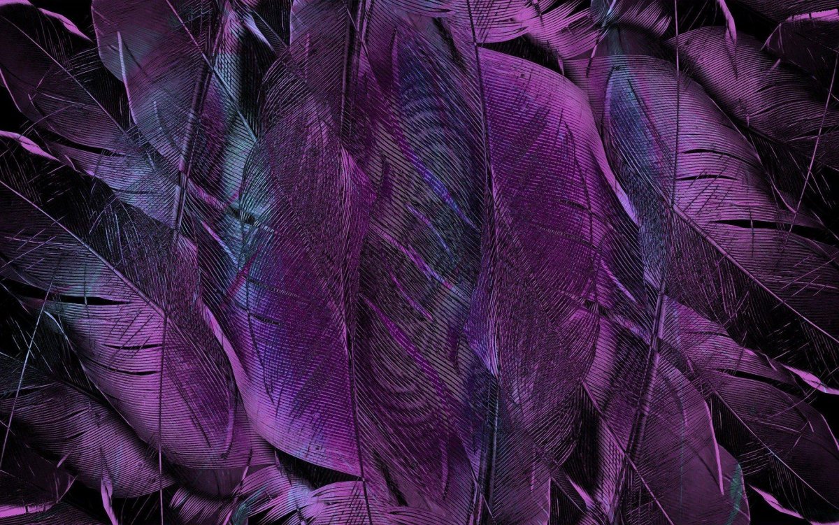 Классные обои фиолетовые