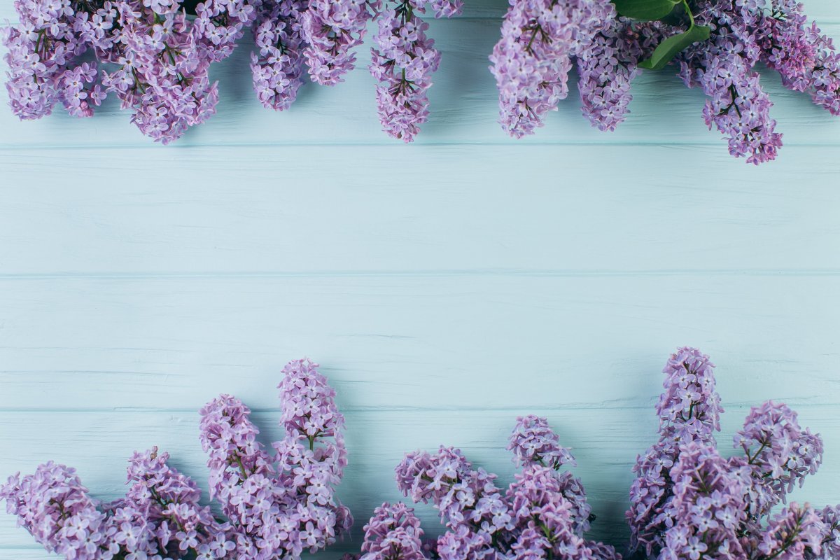 Весна Эстетика